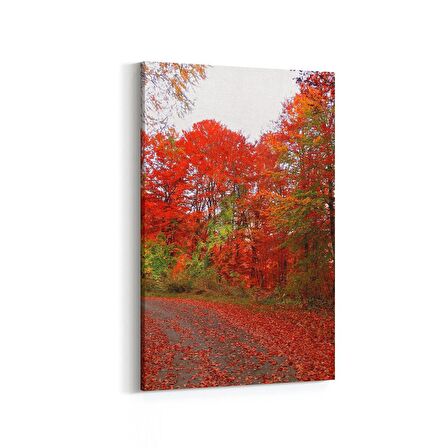 Olla 13211D Doğa / Manzara Görseli Dikey Kanvas Tablo (Ölçü: 20X30)