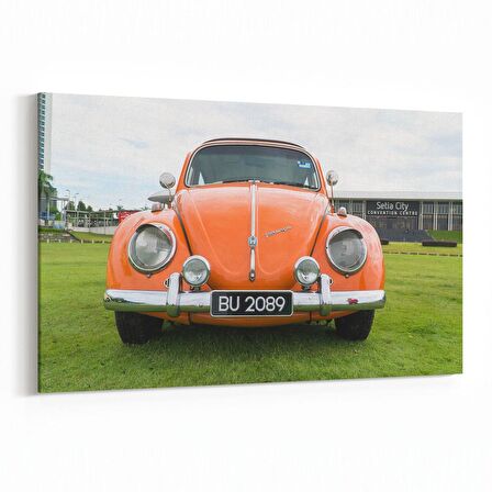 Olla 12370Y Araç Görseli Yatay Kanvas Tablo (Ölçü: 45X30)