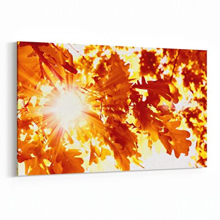 Olla 10663Y Ağaç Görseli Yatay Kanvas Tablo (Ölçü: 150X100)
