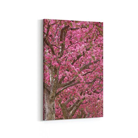 Olla 10588D Ağaç Görseli Dikey Kanvas Tablo (Ölçü: 20X30)