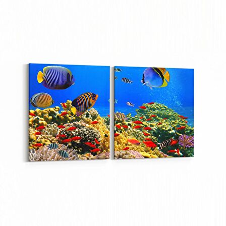 Olla 12060K2Y Akvaryum / Balık Görseli Kare 2'li Yatay Kanvas Tablo (Ölçü: 65X30)