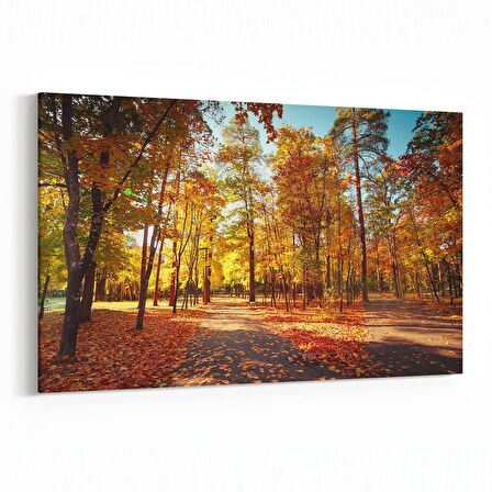 Olla 13740Y Doğa / Manzara Görseli Yatay Kanvas Tablo (Ölçü: 120X80)