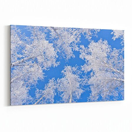 Olla 10519Y Ağaç Görseli Yatay Kanvas Tablo (Ölçü: 90X60)