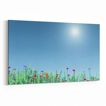 Olla 13397Y Doğa / Manzara Görseli Yatay Kanvas Tablo (Ölçü: 45X30)