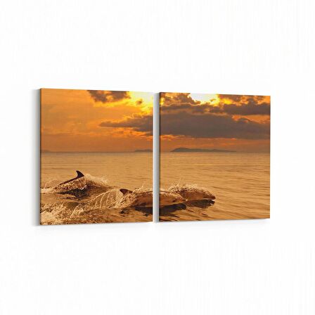 Olla 12695K2Y Hayvanlar Alemi Görseli Kare 2'li Yatay Kanvas Tablo (Ölçü: 85X40)