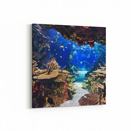 Olla 12140K Akvaryum / Balık Görseli Kare Kanvas Tablo (Ölçü: 100X100)