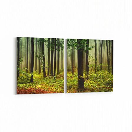 Olla 13271K2Y Doğa / Manzara Görseli Kare 2'li Yatay Kanvas Tablo (Ölçü: 125X60)