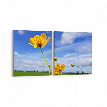 Olla 14392K2Y Doğa / Manzara Görseli Kare 2'li Yatay Kanvas Tablo (Ölçü: 65X30)