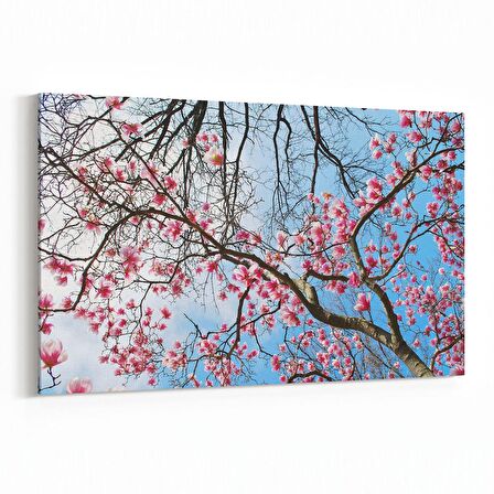 Olla 11065Y Ağaç Görseli Yatay Kanvas Tablo (Ölçü: 70X50)