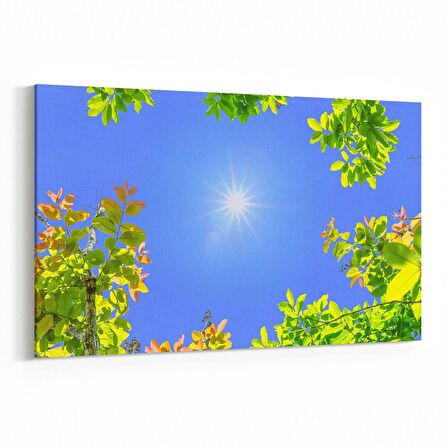 Olla 10671Y Ağaç Görseli Yatay Kanvas Tablo (Ölçü: 45X30)