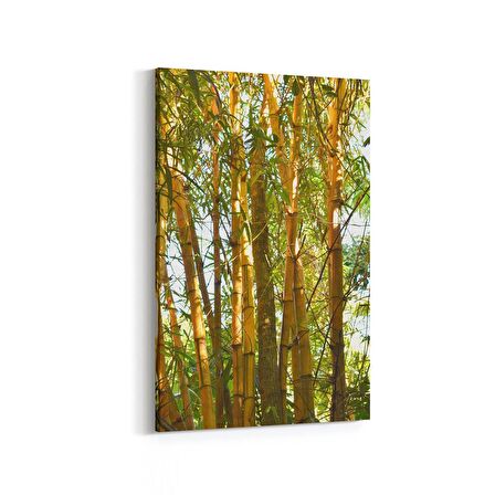 Olla 13247D Doğa / Manzara Görseli Dikey Kanvas Tablo (Ölçü: 60X90)