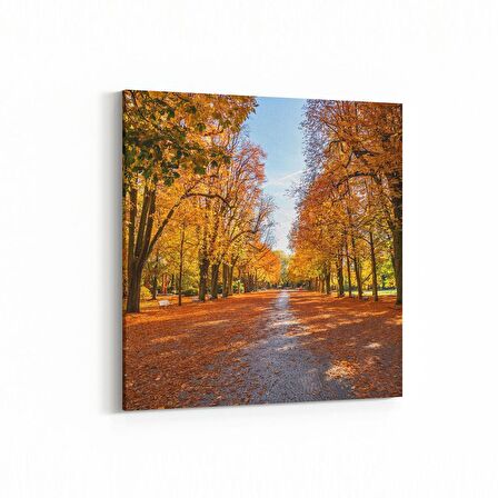 Olla 14162K Doğa / Manzara Görseli Kare Kanvas Tablo (Ölçü: 100X100)