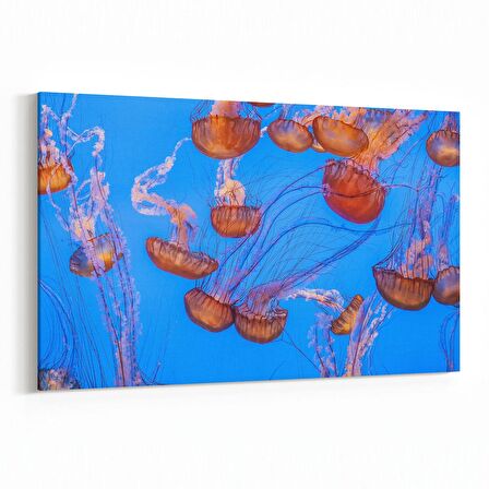 Olla 12646Y Hayvanlar Alemi Görseli Yatay Kanvas Tablo (Ölçü: 90X60)