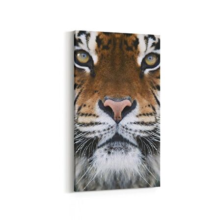 Olla 12572DD Hayvanlar Alemi Görseli Dikey Dar Kanvas Tablo (Ölçü: 40X80)