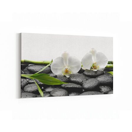 Olla 17106Y Spa / Masaj Görseli Yatay Kanvas Tablo (Ölçü: 30X20)