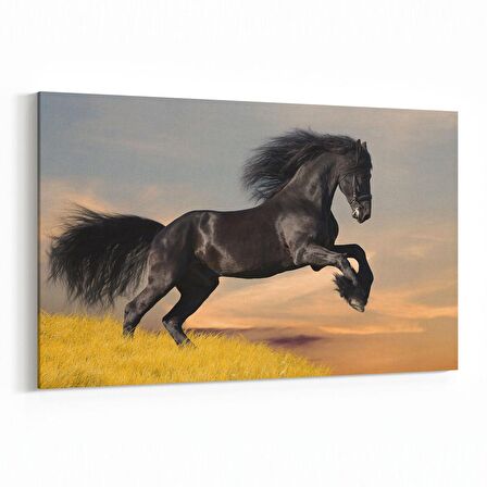 Olla 12543Y Hayvanlar Alemi Görseli Yatay Kanvas Tablo (Ölçü: 70X50)