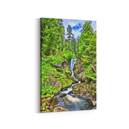 Olla 14141D Doğa / Manzara Görseli Dikey Kanvas Tablo (Ölçü: 20X30)