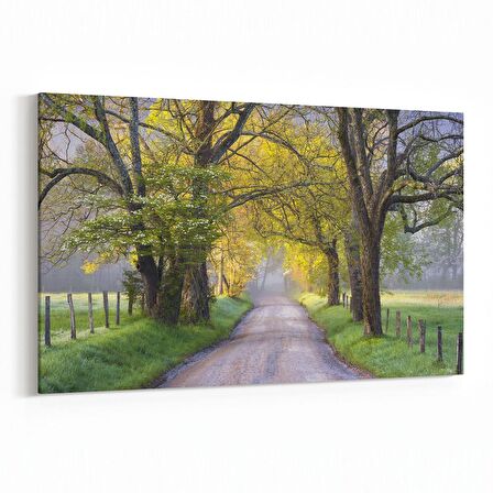 Olla 13437Y Doğa / Manzara Görseli Yatay Kanvas Tablo (Ölçü: 70X50)