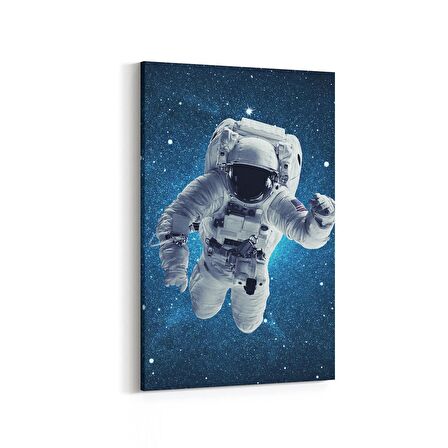 Olla 17610D Uzay Görseli Dikey Kanvas Tablo (Ölçü: 60X90)