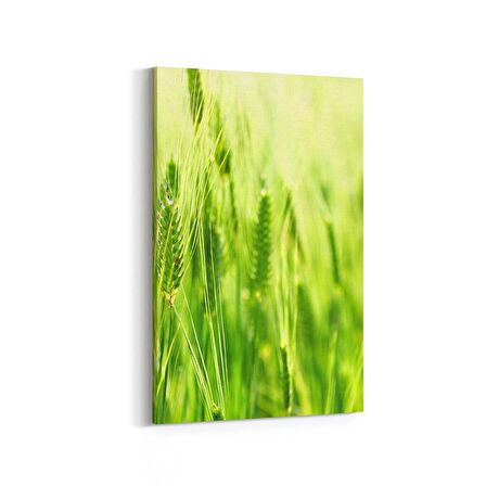 Olla 14507D Doğa / Manzara Görseli Dikey Kanvas Tablo (Ölçü: 100X150)