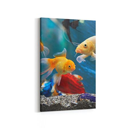 Olla 12145D Akvaryum / Balık Görseli Dikey Kanvas Tablo (Ölçü: 100X150)