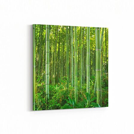 Olla 14377K Doğa / Manzara Görseli Kare Kanvas Tablo (Ölçü: 30X30)