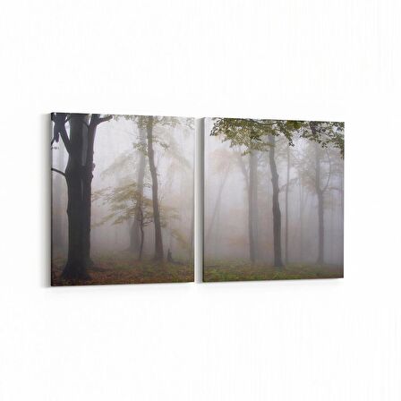 Olla 14135K2Y Doğa / Manzara Görseli Kare 2'li Yatay Kanvas Tablo (Ölçü: 145X70)