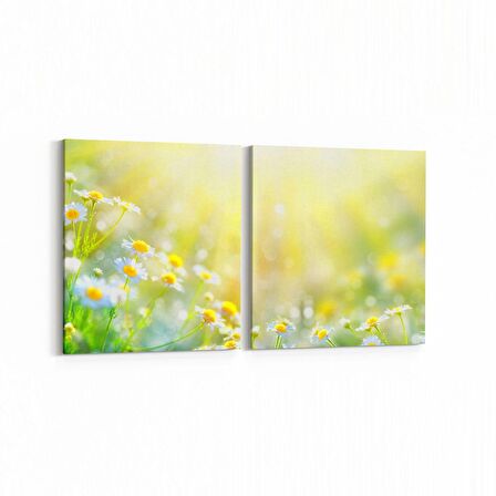 Olla 11730K2Y Orkide Çiçek Görseli 2'li Yatay Kanvas Tablo (Ölçü: 125X60)