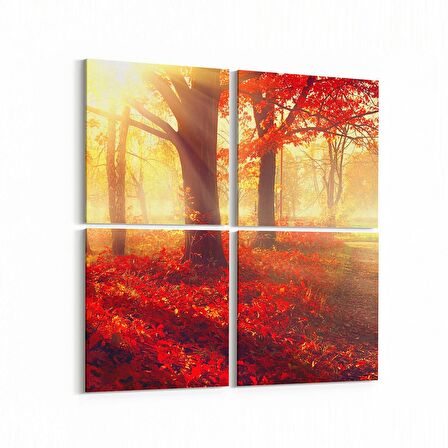Olla 13725K4 Doğa / Manzara Görseli Kare 4'lü Kanvas Tablo (Ölçü: 125X125)
