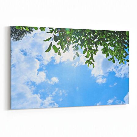 Olla 10841Y Ağaç Görseli Yatay Kanvas Tablo (Ölçü: 90X60)