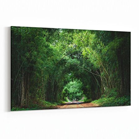 Olla 13254Y Doğa / Manzara Görseli Yatay Kanvas Tablo (Ölçü: 45X30)