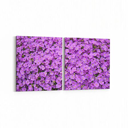 Olla 11587K2Y Çiçek Görseli Kare 2'li Yatay Kanvas Tablo (Ölçü: 65X30)