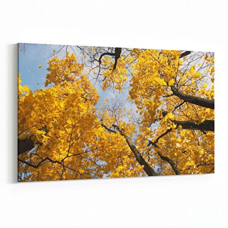 Olla 11005Y Ağaç Görseli Yatay Kanvas Tablo (Ölçü: 150X100)