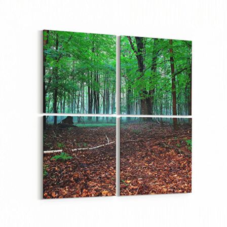 Olla 13501K4 Doğa / Manzara Görseli Kare 4'lü Kanvas Tablo (Ölçü: 145X145)