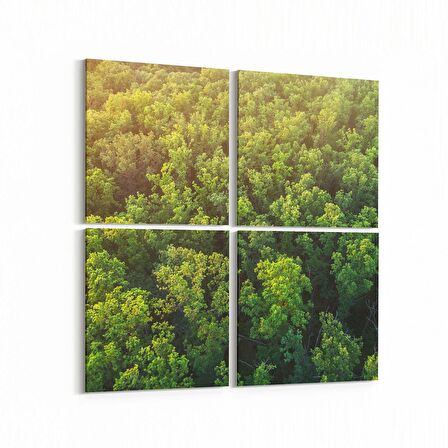 Olla 13244K4 Doğa / Manzara Görseli Kare 4'lü Kanvas Tablo (Ölçü: 65X65)