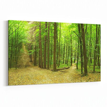 Olla 13946Y Doğa / Manzara Görseli Yatay Kanvas Tablo (Ölçü: 150X100)