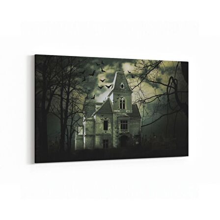 Olla 18517Y Yapı Görseli Yatay Kanvas Tablo (Ölçü: 90X60)