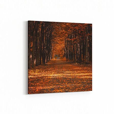 Olla 13749K Doğa / Manzara Görseli Kare Kanvas Tablo (Ölçü: 25X25)