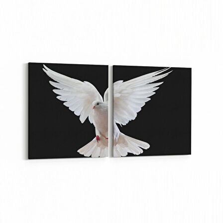 Olla 12607K2Y Hayvanlar Alemi Görseli Kare 2'li Yatay Kanvas Tablo (Ölçü: 145X70)