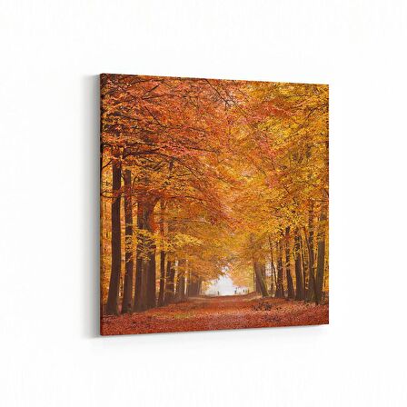 Olla 14561K Doğa / Manzara Görseli Kare Kanvas Tablo (Ölçü: 25X25)