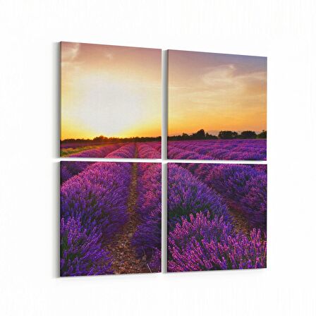 Olla 16002K4 Günbatımı Görseli Kare 4'lü Kanvas Tablo (Ölçü: 105X105)
