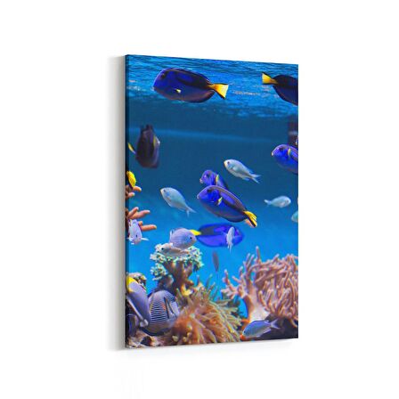 Olla 12139D Akvaryum / Balık Görseli Dikey Kanvas Tablo (Ölçü: 20X30)