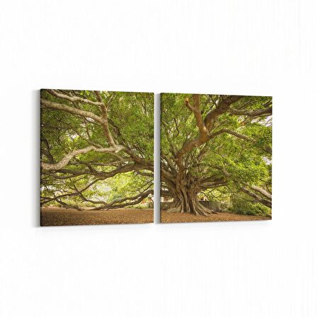 Olla 14268K2Y Doğa / Manzara Görseli Kare 2'li Yatay Kanvas Tablo (Ölçü: 105X50)