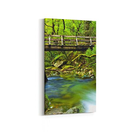 Olla 14285DD Doğa / Manzara Görseli Dikey Dar Kanvas Tablo (Ölçü: 40X80)
