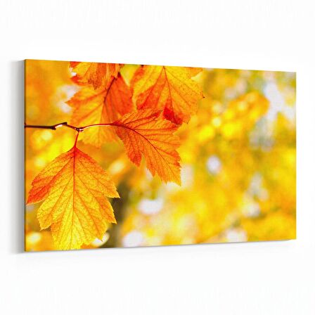 Olla 10956Y Ağaç Görseli Yatay Kanvas Tablo (Ölçü: 45X30)