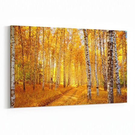 Olla 14572Y Doğa / Manzara Görseli Yatay Kanvas Tablo (Ölçü: 90X60)