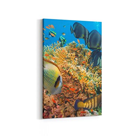 Olla 12125D Akvaryum / Balık Görseli Dikey Kanvas Tablo (Ölçü: 70X105)