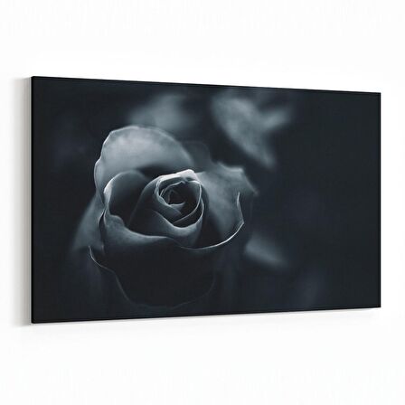 Olla 11577Y Çiçek Görseli Yatay Kanvas Tablo (Ölçü: 120X80)