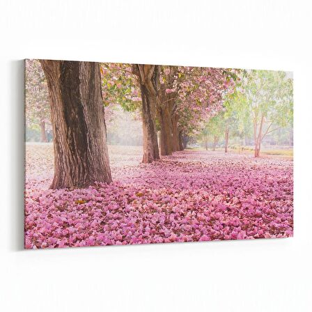 Olla 13471Y Doğa / Manzara Görseli Yatay Kanvas Tablo (Ölçü: 30X20)