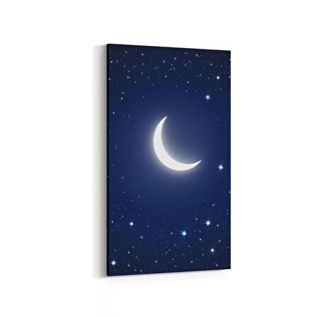 Olla 14829DD Gece Gökyüzü Görseli Dikey Dar Kanvas Tablo (Ölçü: 40X80)